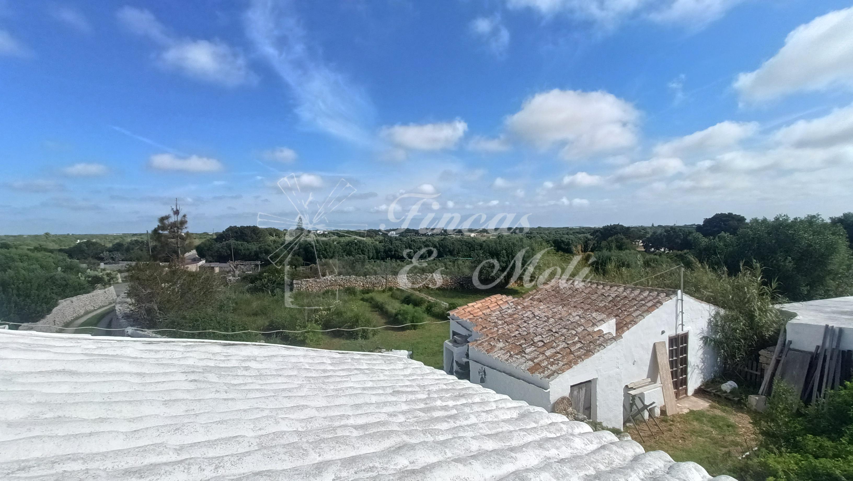 IMG20250409105906